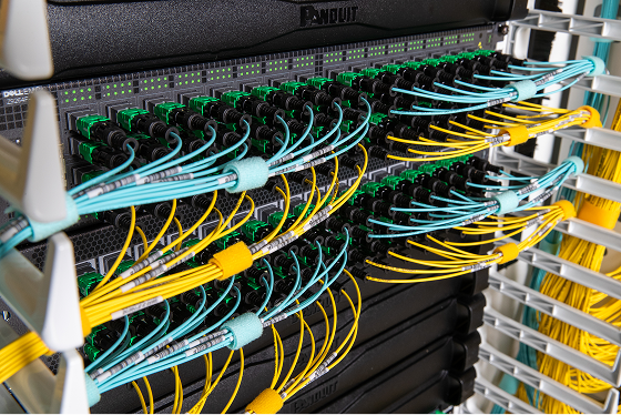 A side view close-up of blue and yellow fiber optic cable in server room