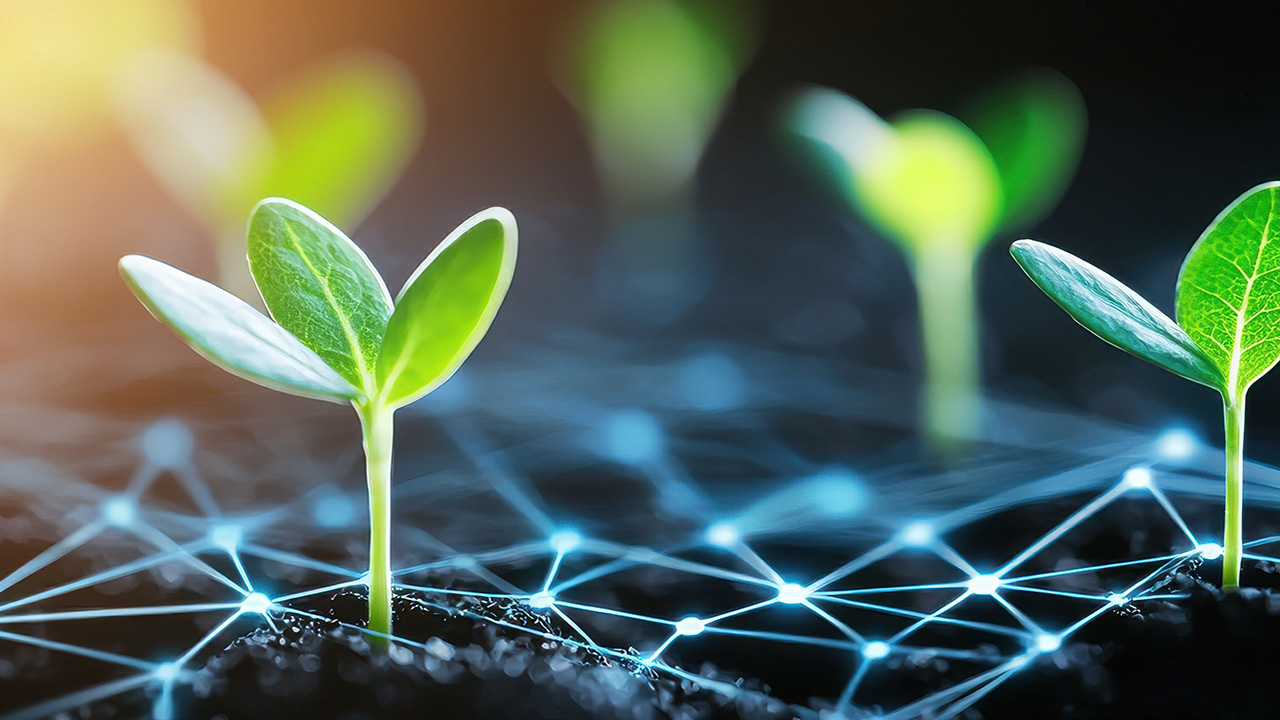Building Greener Networks: How Passive Optical LAN Supports Sustainability Goals