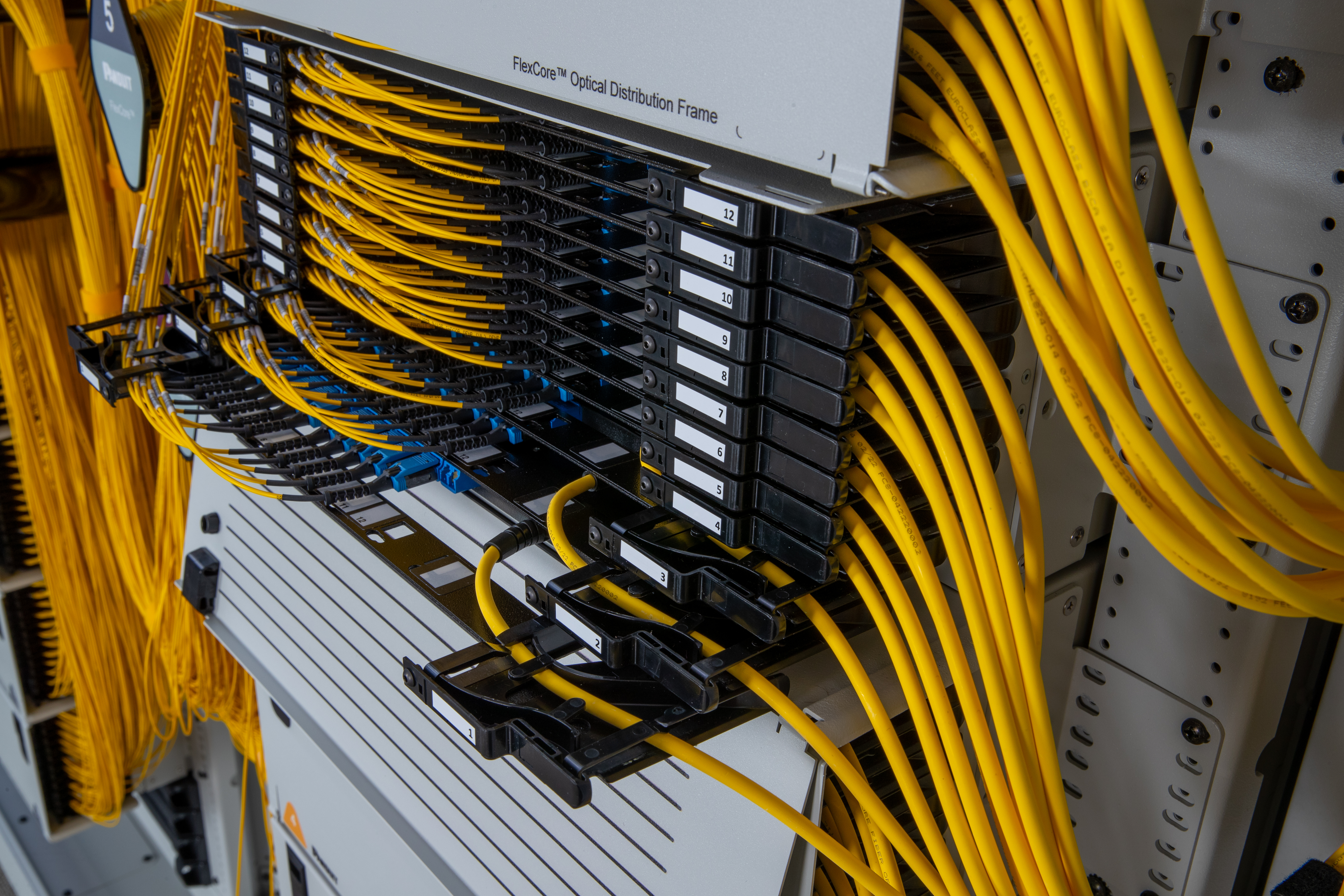 FlexFusion