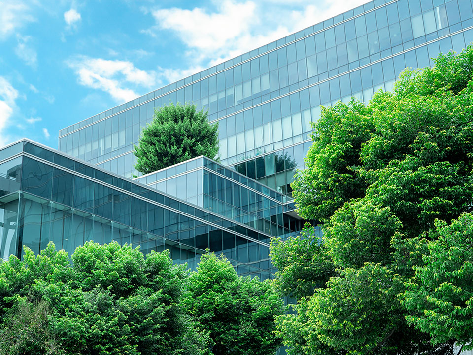 Eco-friendly office building with trees