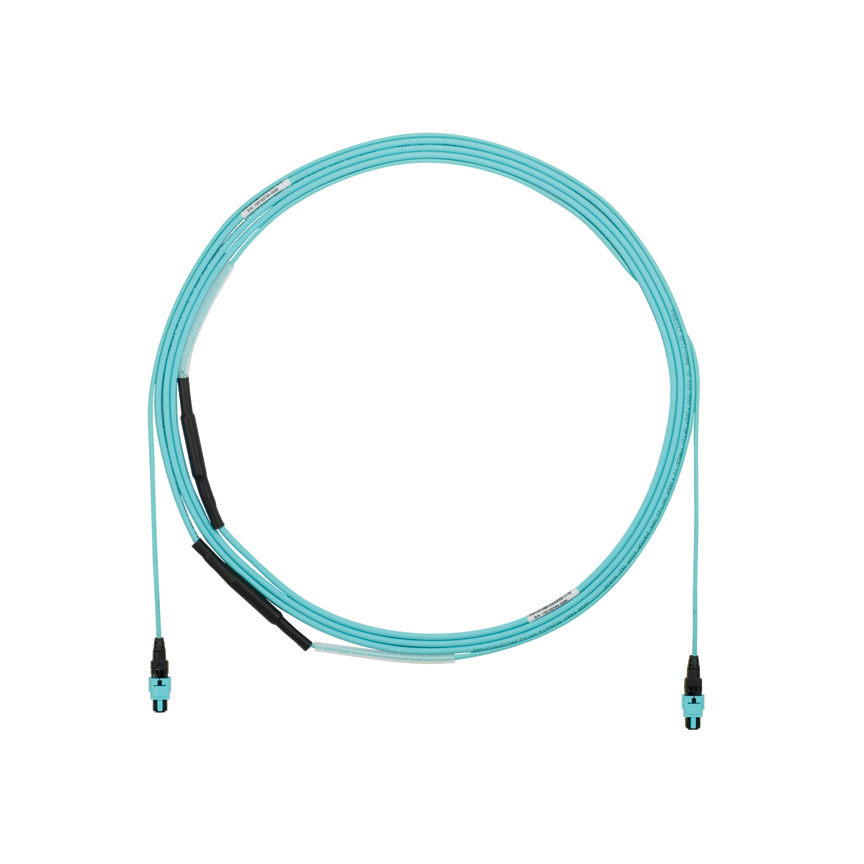 OM4 12F OFNP PanMPO-F Type B Opt IL Pull Eye