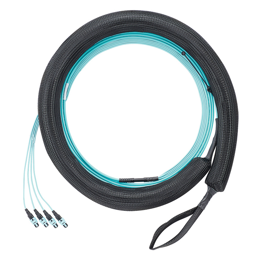 OM4 48F OFNP PanMPO-F Type B Opt IL Pull Eye
